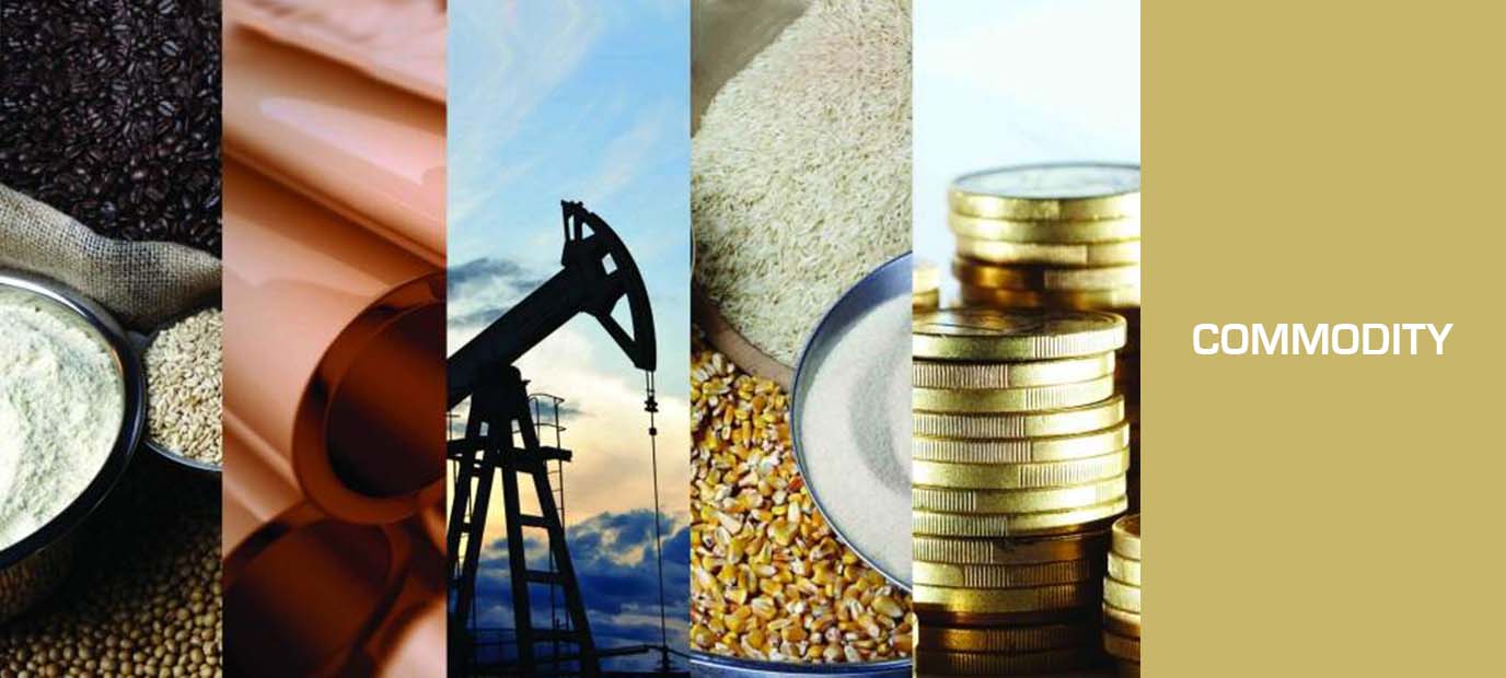 Commodity market in India, MCX commodity, NCDEX commodity, commodity trading